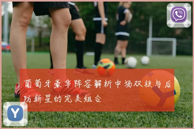 葡萄牙豪华阵容解析中场双核与后防新星的完美组合